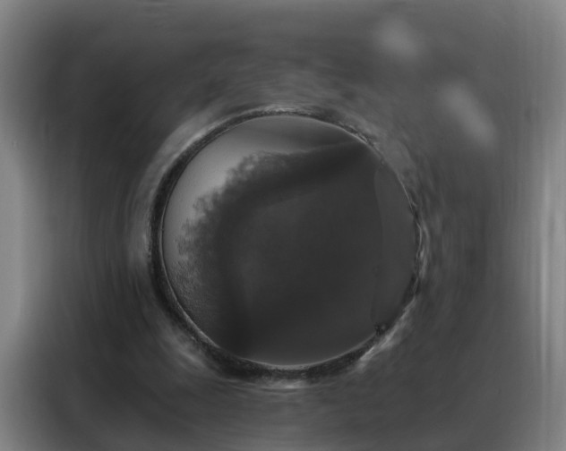 X0000088140247200705211141