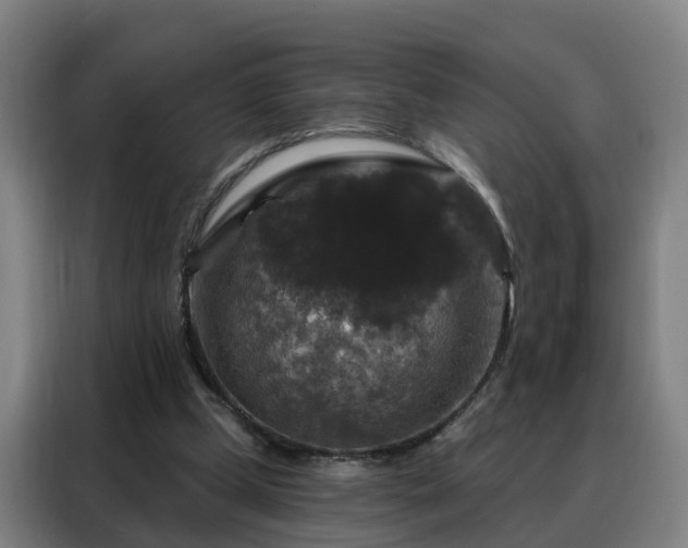 X0000088140249200705211141
