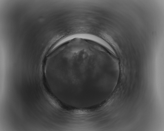 X0000088140250200705211141