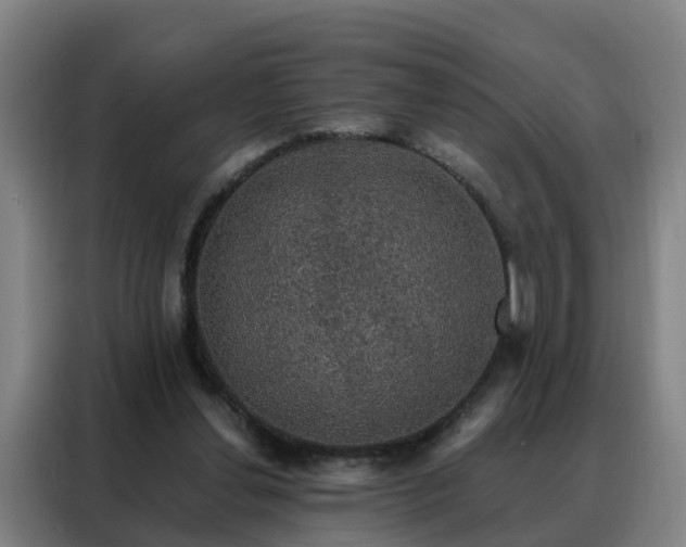 X0000088140252200705211141