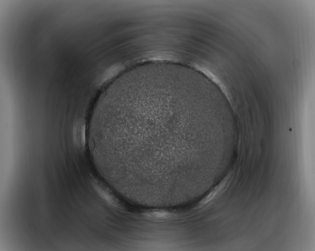 X0000088140253200705211141