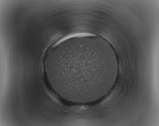 X0000088140254200705211141