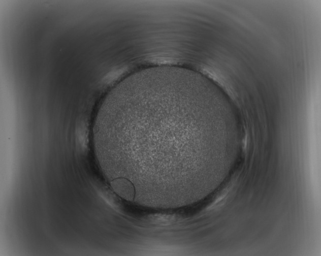 X0000088140255200705211141