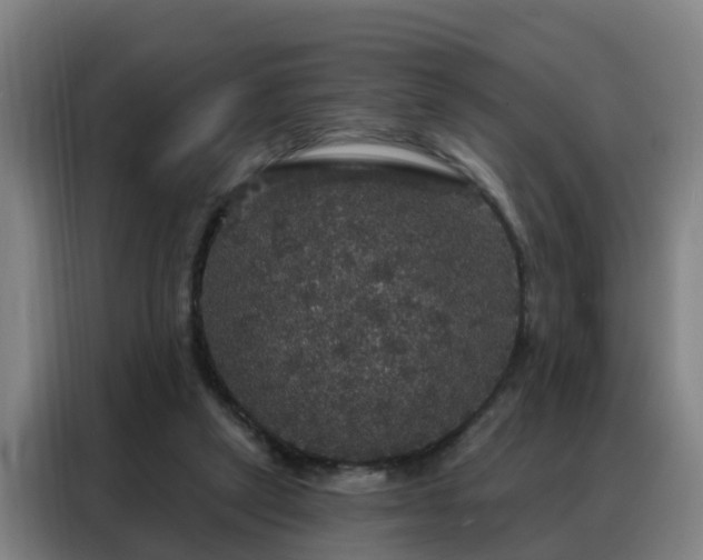 X0000088140257200705211141