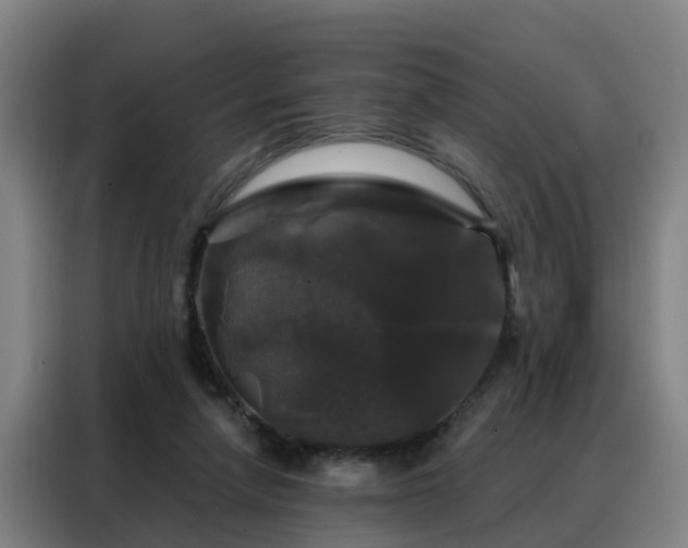 X0000088140258200705211141