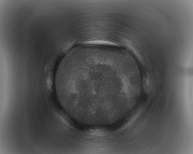 X0000088140259200705211141