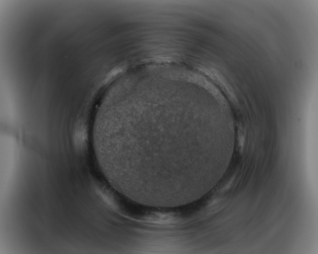 X0000088140260200705211141