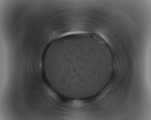 X0000088140261200705211141