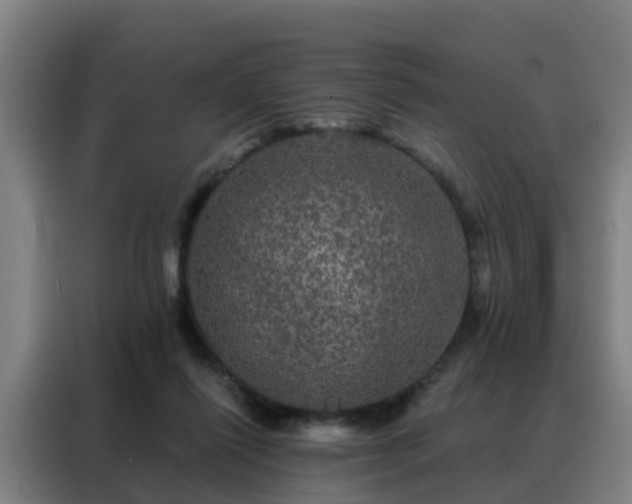 X0000088140262200705211141