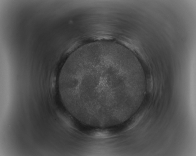 X0000088140263200705211141