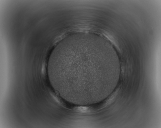 X0000088140265200705211142