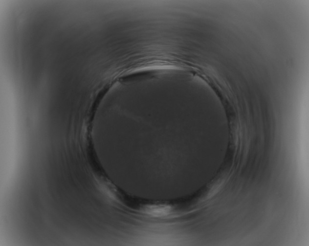 X0000088140266200705211142