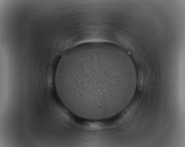 X0000088140268200705211142