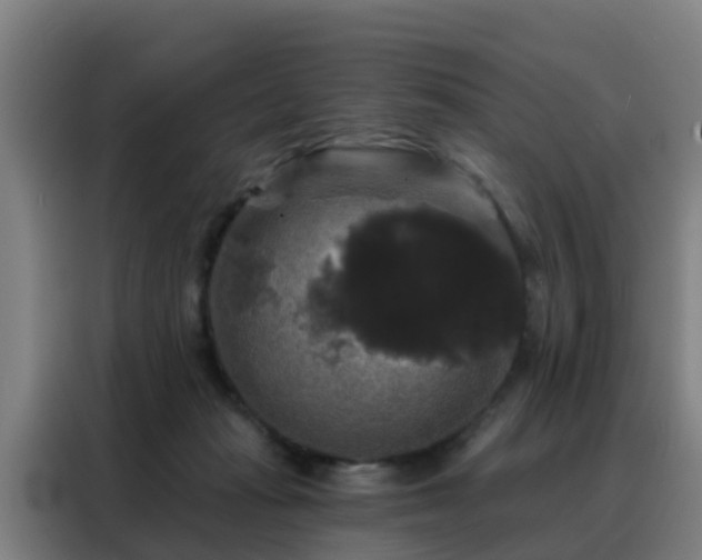 X0000088140269200705211142
