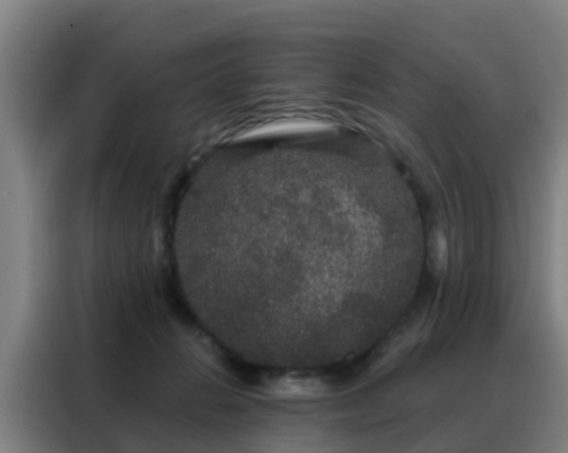 X0000088140270200705211142