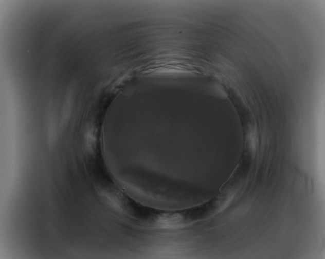 X0000088140271200705211142