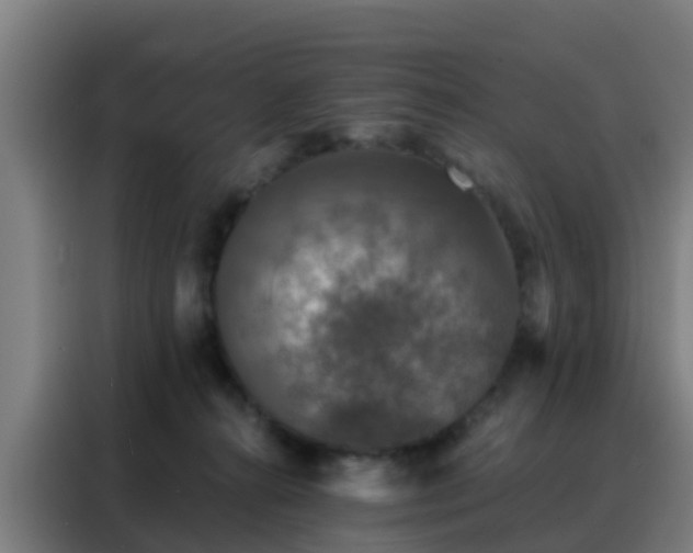 X0000088140272200705211142