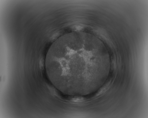 X0000088140274200705211142