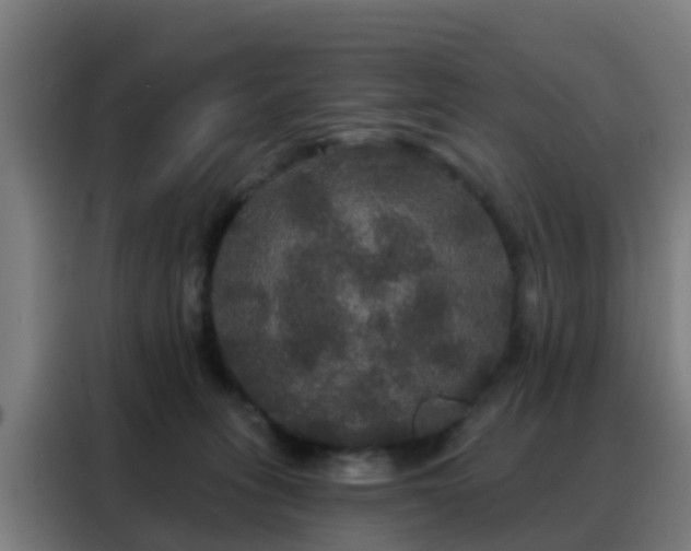 X0000088140275200705211142