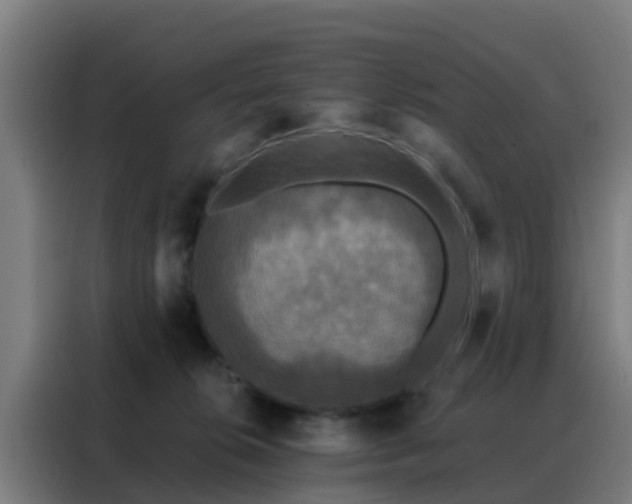 X0000088140276200705211142