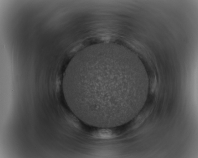 X0000088140279200705211142
