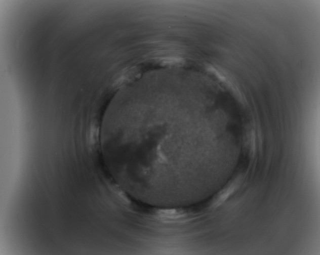 X0000088140281200705211142
