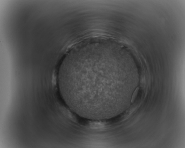 X0000088140282200705211142
