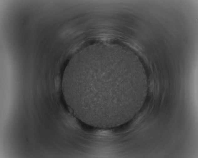 X0000088140283200705211142