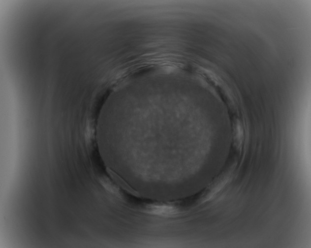 X0000088140284200705211142