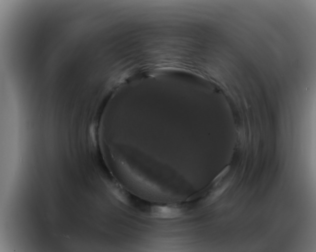 X0000088140286200705211142