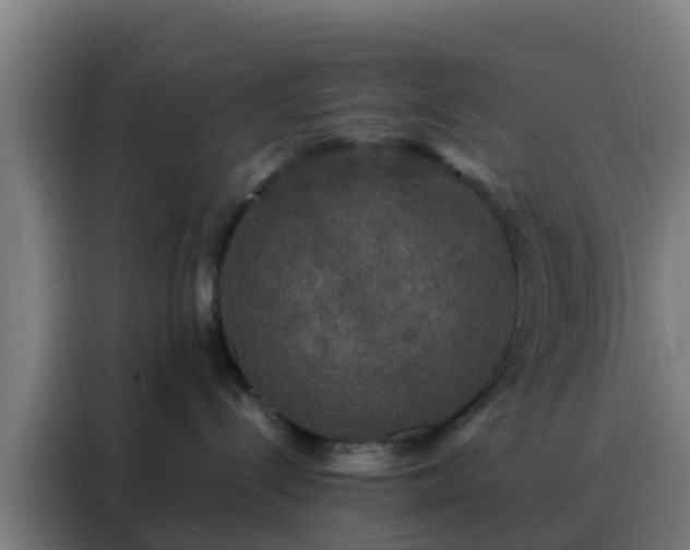 X0000088140288200705211142