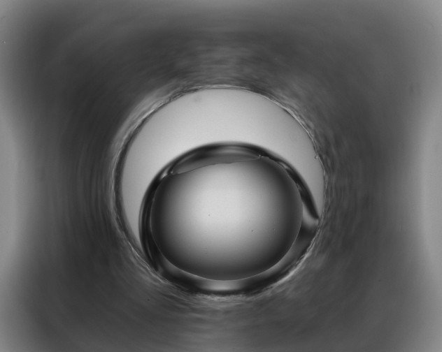 X0000088140293200705211141