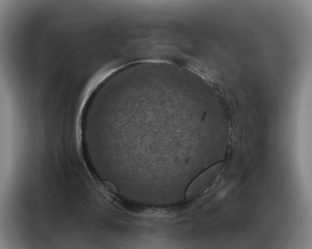 X0000088140294200705211141