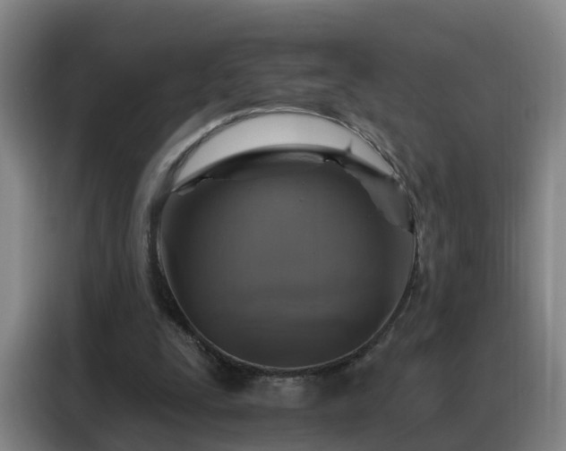 X0000088140295200705211141