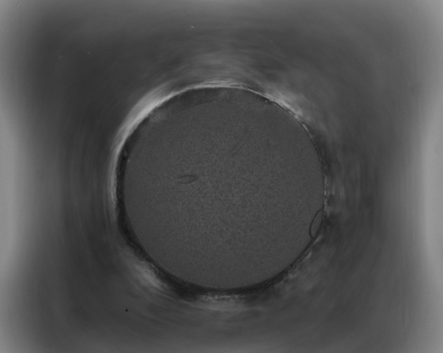 X0000088140296200705211141