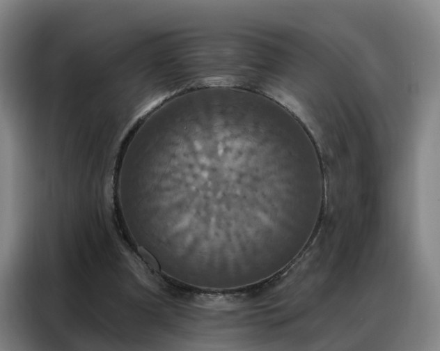 X0000088140297200705211141