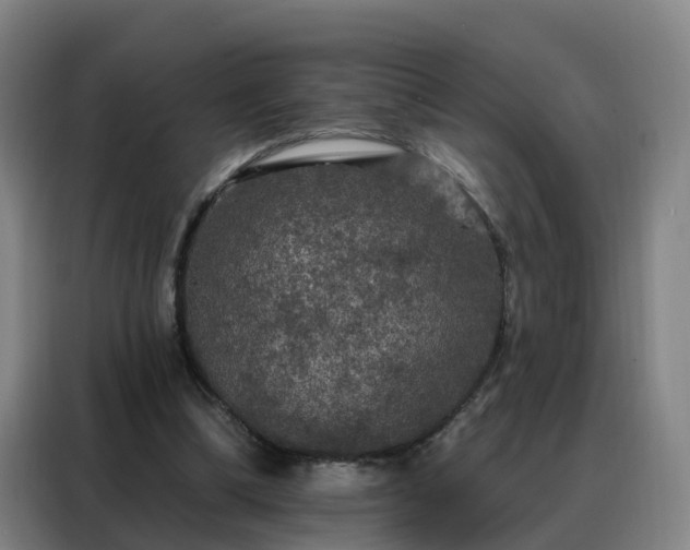 X0000088140298200705211141