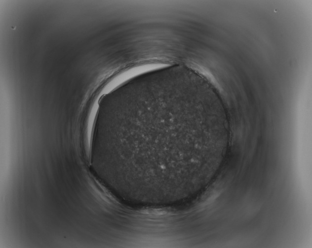 X0000088140299200705211141