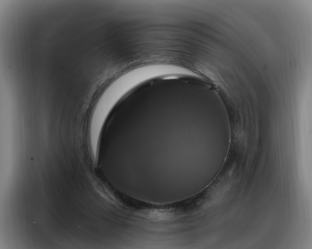 X0000088140303200705211141