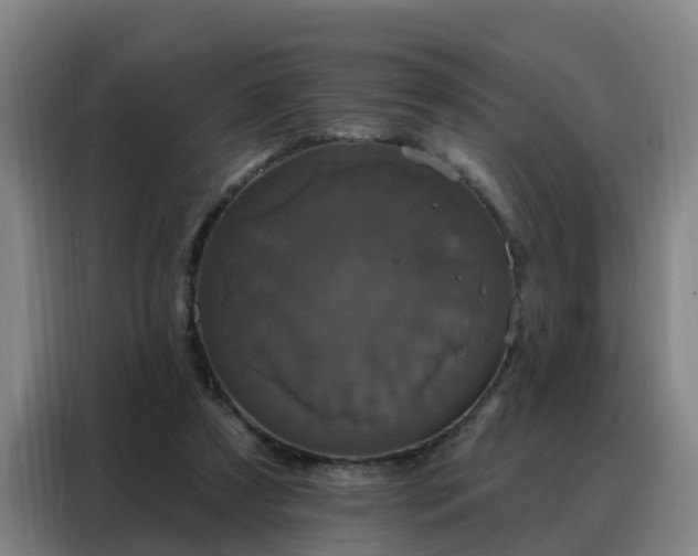 X0000088140305200705211141