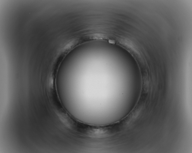 X0000088140310200705211141