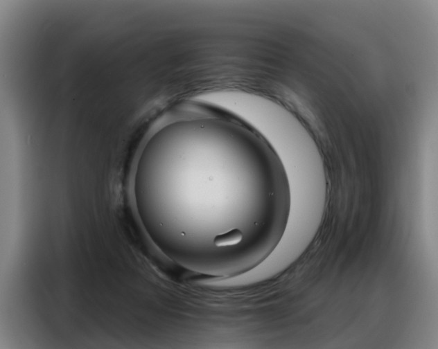 X0000088140313200705211141