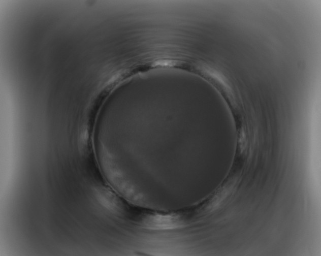 X0000088140314200705211141