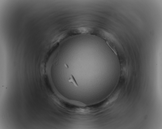 X0000088140317200705211141