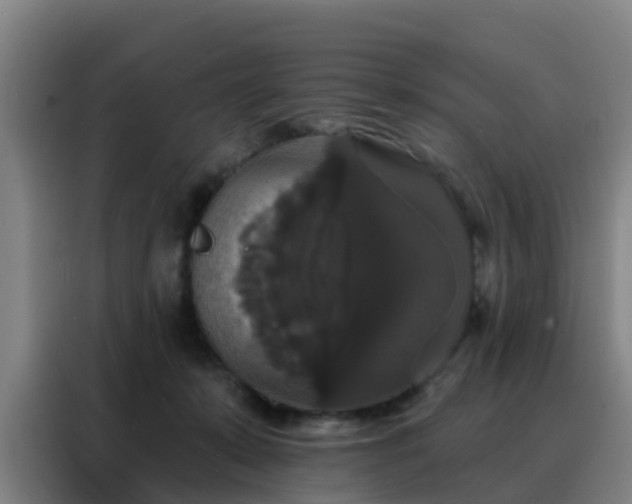X0000088140319200705211141