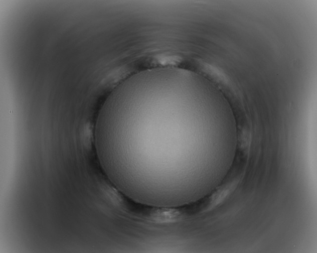 X0000088140321200705211141