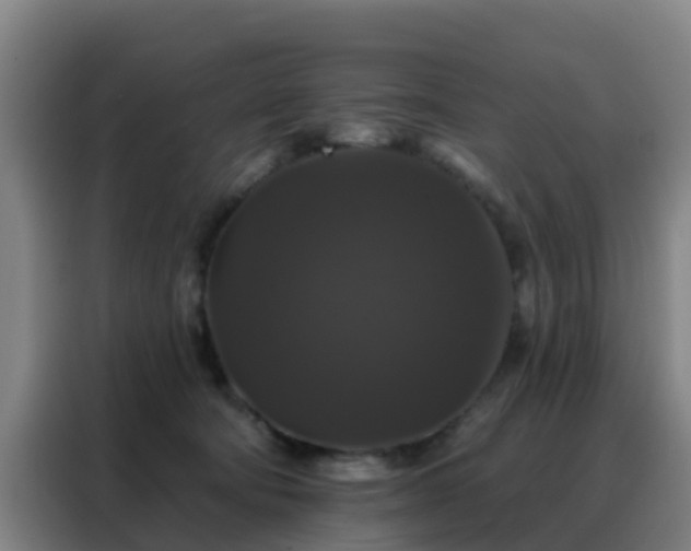 X0000088140322200705211141