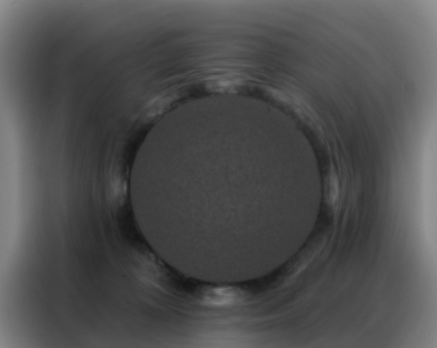 X0000088140324200705211141