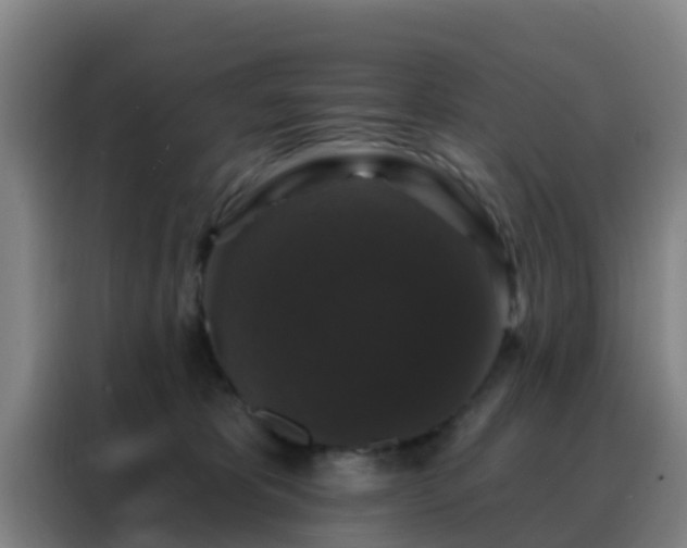 X0000088140325200705211141