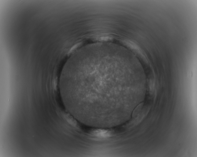 X0000088140326200705211141